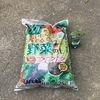 5-46   愛すべき野菜たち〜2020年もオクラの栽培を始めました！！〜