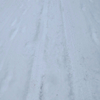 29, 12. 2020　牡丹雪降る