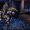 ESO∶新「黄金の追跡」と「10周年記念スポットライト　控え要員に光を」