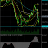 ２月６日のFX　今日のポジションEUR/USD