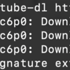 python3 環境で youtube-dl を update する（sudo pip3 install -U youtube-dl）
