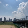 ブラ多摩川 ガス橋⇄丸子橋