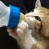 当別町の “赤ちゃんポスト” それぞれの思惑
