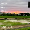 今週のランニング(8月11日〜8月17日)