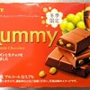 新しくなったラミーチョコレートを食べてみました！