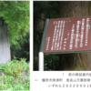 万葉集の世界に飛び込もう（その２６４５）―書籍掲載歌を中軸に（Ⅱ）―
