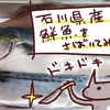 石川県から海鮮BOXを取り寄せて魚を捌いてみたよ。