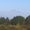 今朝の富士山2
