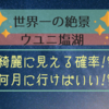 【質問に答えましょう！】“ウユニ塩湖”が綺麗に見える確率！？何月に行けば見れる！？