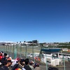 【ネタバレアリ】F1 2019 日本GP 予選を観た話。