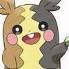 【ポケモン剣盾】今更見る最新情報