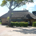 元気に人生を歩みたい人へのエール