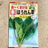 〜　【春野菜栽培チャレンジ】　その⑤: とう立ち遅く安心！”春まきほうれん草”   〜