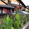 休みなしのたたかい（笑）
