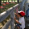 旭山動物園、ふたたび