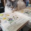 猫ちゃんがお店番中 Lovely cat looking after my book