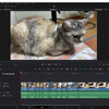 YouTuberにもおすすめ！　無料で超高機能な動画編集ソフト「DaVinci Resolve 17」