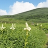 ◆'21/07/24　鳥海山・月山森～千畳ヶ原③