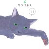 サラ・イネス『猫も寝てはならぬ』（２）