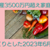 資産3500万円超え家庭の食費 2023年6月