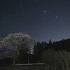 今夜の月…と桜