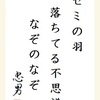 セミの羽落ちてる不思議なぞのなぞ