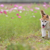 カレンダー