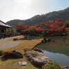 京都の紅葉2013～天龍寺の紅葉の見どころ