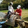 乗馬体験と動物の癒し