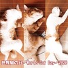 世界猫の日～World Cat Day～2020
