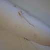私は腿が上がらなかったorz←2歳児が高速で地団駄するときの足さばきがすごくて感心したところで無茶してみたよ！
