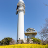 衣笠山公園から菜の花咲く大楠山へ