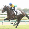 古馬長距離戦線の最高峰 - 2022天皇賞・春 - トピックス