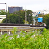 【台風直後と復旧直前の比較】日野橋（甲州街道/都道256）周辺を散策　まとめ