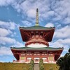 恒例の鼻毛ﾊﾟﾄﾛｰﾙをしていたら…