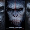 ［ま］「猿の惑星」の最新作「Dawn of the Planet of the Apes」の予告編に期待感が高まる〜 @kun_maa