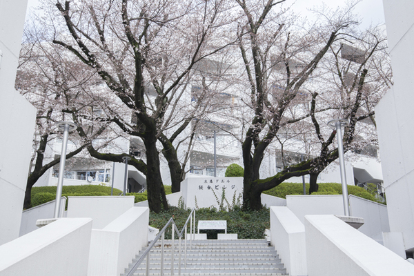 50年目の「桜」を核に。街のコミュニティハブを目指す