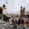 ポーランド旅行　クラクフ街歩き