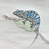 雨季の短い命 ― フェルツコウカメレオンの物語 A Short Life in the Rainy Season: The Story of Voeltzkow’s Chameleon
