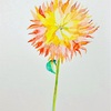 日々絵「ダアリア 3 Dahlia 3」 18.02.21