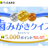 懸賞19日目☆5,000ポイントのＴポイントをゲットできるキャンペーンに応募