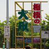 相模の大凧まつり2024①