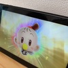 やっぱり家にいる。