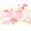 FLOWERS 夏篇（FLOWERS 四季）【感想・レビュー】