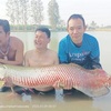 【タイランド釣行まとめ】タイの怪魚釣り釣行にいくら使ったのか。２０２５年１月釣行時
