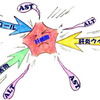 ASTとALTの違い：半減期について