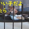 よ～く分かってるんだよね。だよ