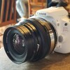 【EOS Kiss X7でオールドレンズ50mm撮り比べ】しっかりした描写の中判カメラ用ZENZANON 50mm、ゆるふわなHI TOPCOR 50mm