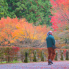 福岡の紅葉名所🍁雷山千如寺大悲王院の魅力　＃糸島