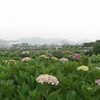 足柄郷
